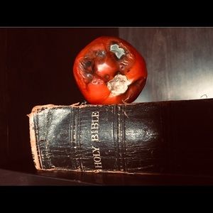 Photograph of a zombie looking Tomato on a Bible.